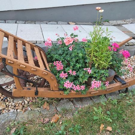 Ferienwohnung Bittner Klitten Exterior foto